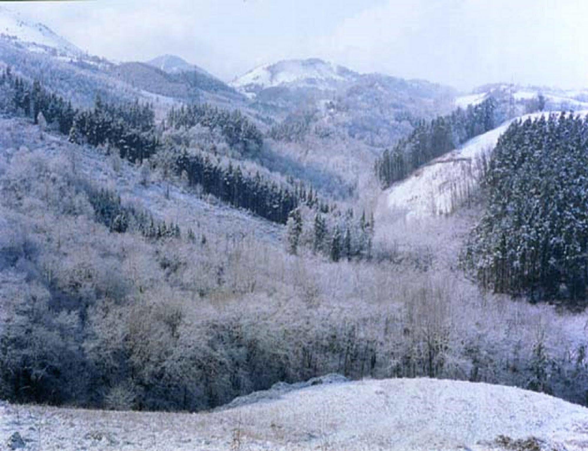 Pardiola Baserria แอร์นานี ภายนอก รูปภาพ